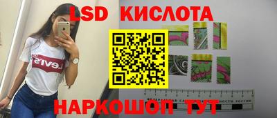 МДПВ Бийск