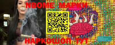 МДПВ Бийск