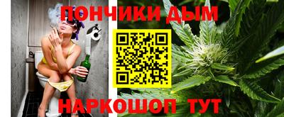 МДПВ Бийск