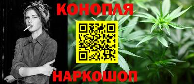 МДПВ Бийск