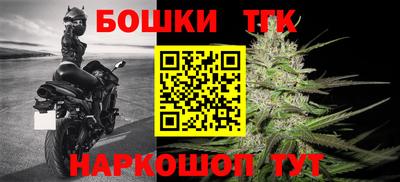 МДПВ Бийск