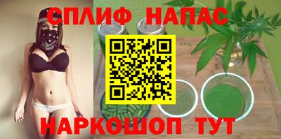 МДПВ Бийск