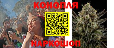 МДПВ Бийск