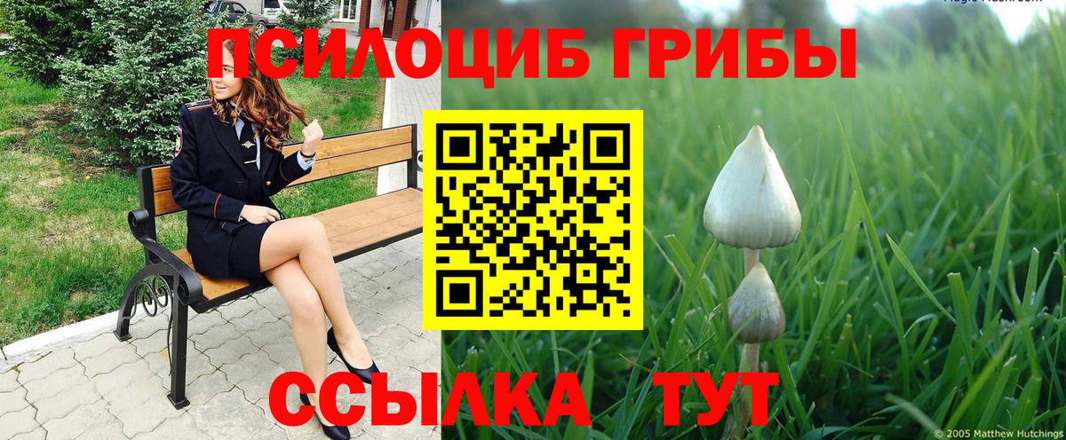 Галлюциногенные грибы ЛСД Гудермес