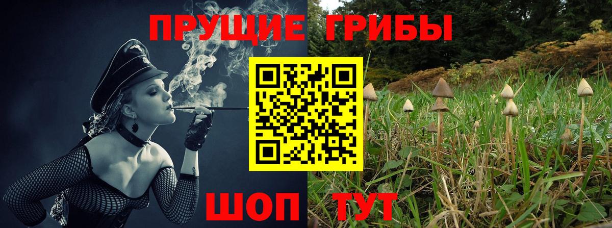 Гудермес  Псилоцибиновые грибы мухоморы  Вход с VPN 